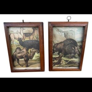 Two VTG framed Nature Adventure prints (1950’s?)  9.5” x 6”